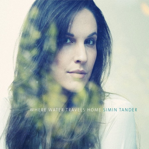 Simin Tander — Where Water Travels Home (2014)