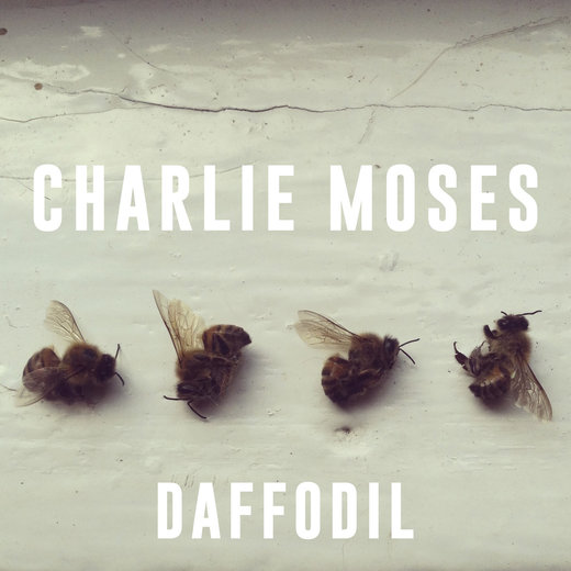 Charlie Moses — Daffodil (July 15, 2016)
