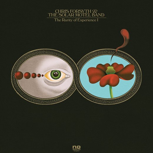 Chris Forsyth & Solar Motel Band — The Rarity of Experience (March 04, 2016) Chris Forsyth & Solar Motel Band — The Rarity of Experience (March 04, 2016)