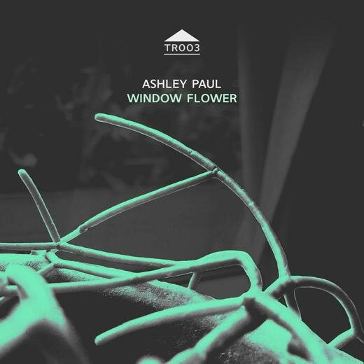 Ashley Paul — Window Flower (May 13, 2020)