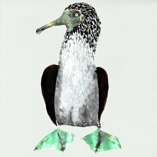 Cosmo Sheldrake — Galapagos [Original Soundtrack] 2019
