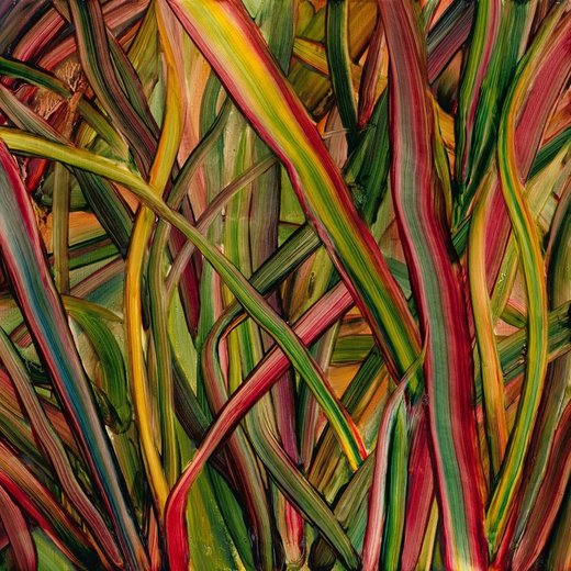 Gengahr — Where Wildness Grows (9 Mar 2018)