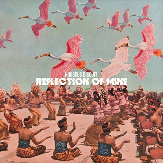 Hibiscus Biscuit — Reflection of Mine (March 1st, 2020)