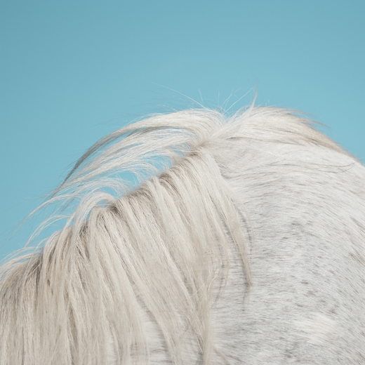 Widowspeak — All Yours (September 4, 2015)