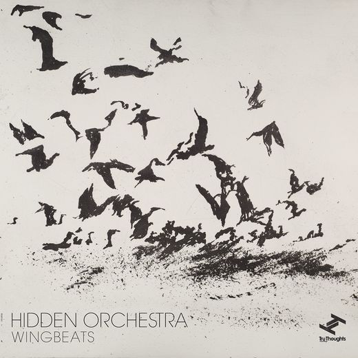 Hidden Orchestra — Wingbeats (November 11, 2016) Hidden Orchestra — Wingbeats (November 11, 2016)