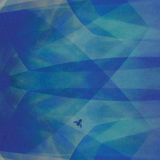 Cyro Baptista — BlueFly (March 18 2016)