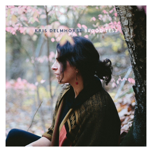 Kris Delmhorst — Blood Test