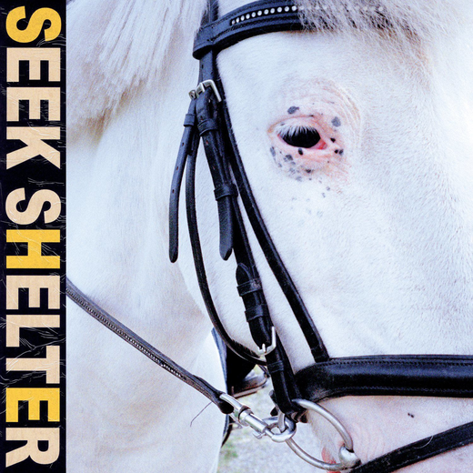 Iceage — „Seek Shelter“ (May 7th, 2021)