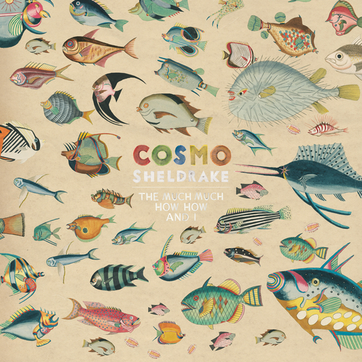 Cosmo Sheldrake — The Much Much How How And I (April 6, 2018)
