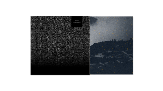 Portico Quartet — „Terrain“ (May 28, 2021)