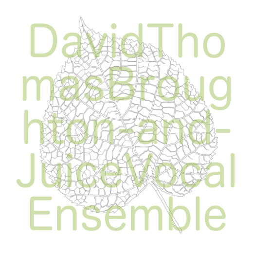 David Thomas Broughton & Juice Vocal Ensemble — Sliding The Same