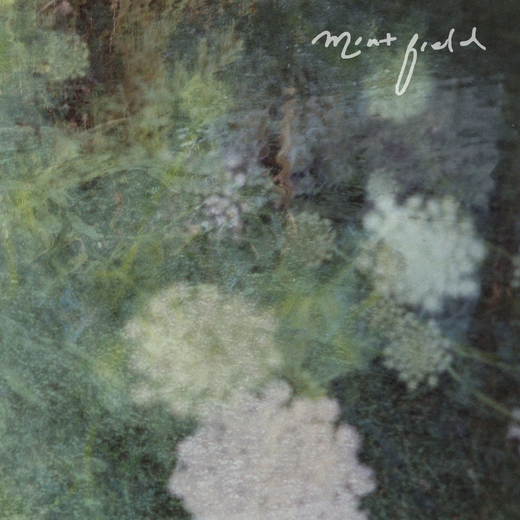 Mint Field — Sentimiento Mundial (25 Sept., 2020)