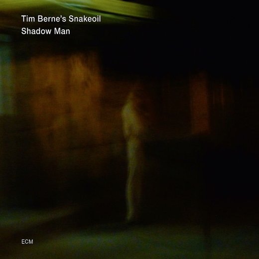 Tim Berne's Snakeoil — Shadow Man (2013)