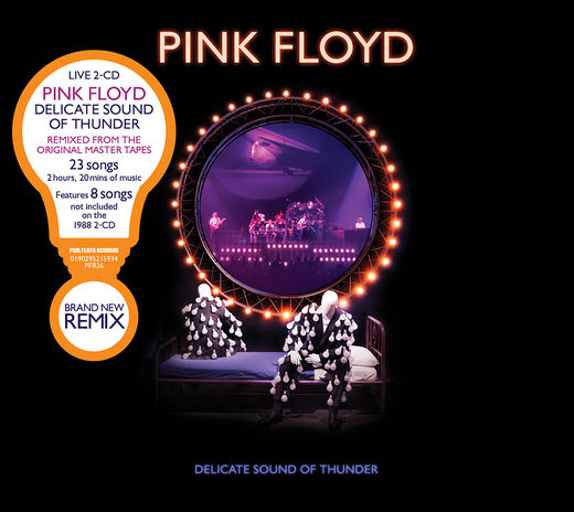 Pink Floyd — Delicate Sound of Thunder (1988)