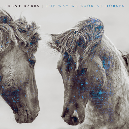 Trent Dabbs — The Way We Look At Horses (2013)