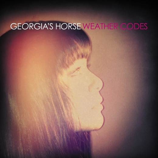 Georgia’s Horse «» Weather Codes (2013)