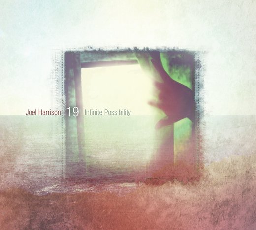 Joel Harrison — Infinite Possibility (2013)