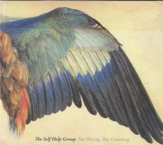 The Self Help Group — Not Waving, But Drowning (2013)