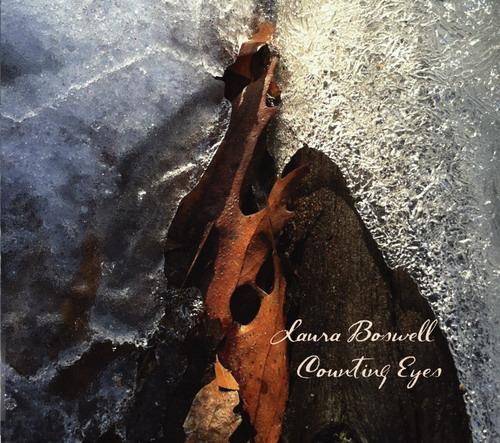 Laura Boswell — Counting Eyes [2014]
