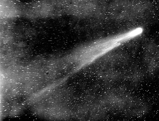 Halley's Comet, 1910 / yehlikethat.wordpress.com