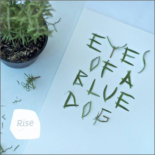 Eyes Of A Blue Dog ¤ Rise (2013)